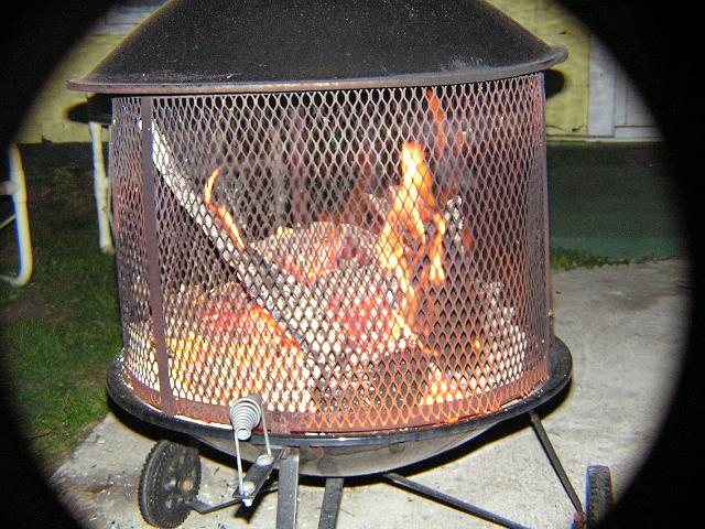 Picture 731.jpg